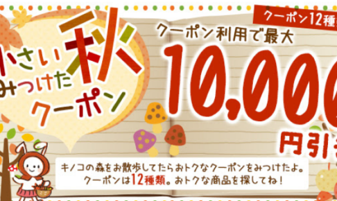 最大10,000円引き!☆クーポン12種